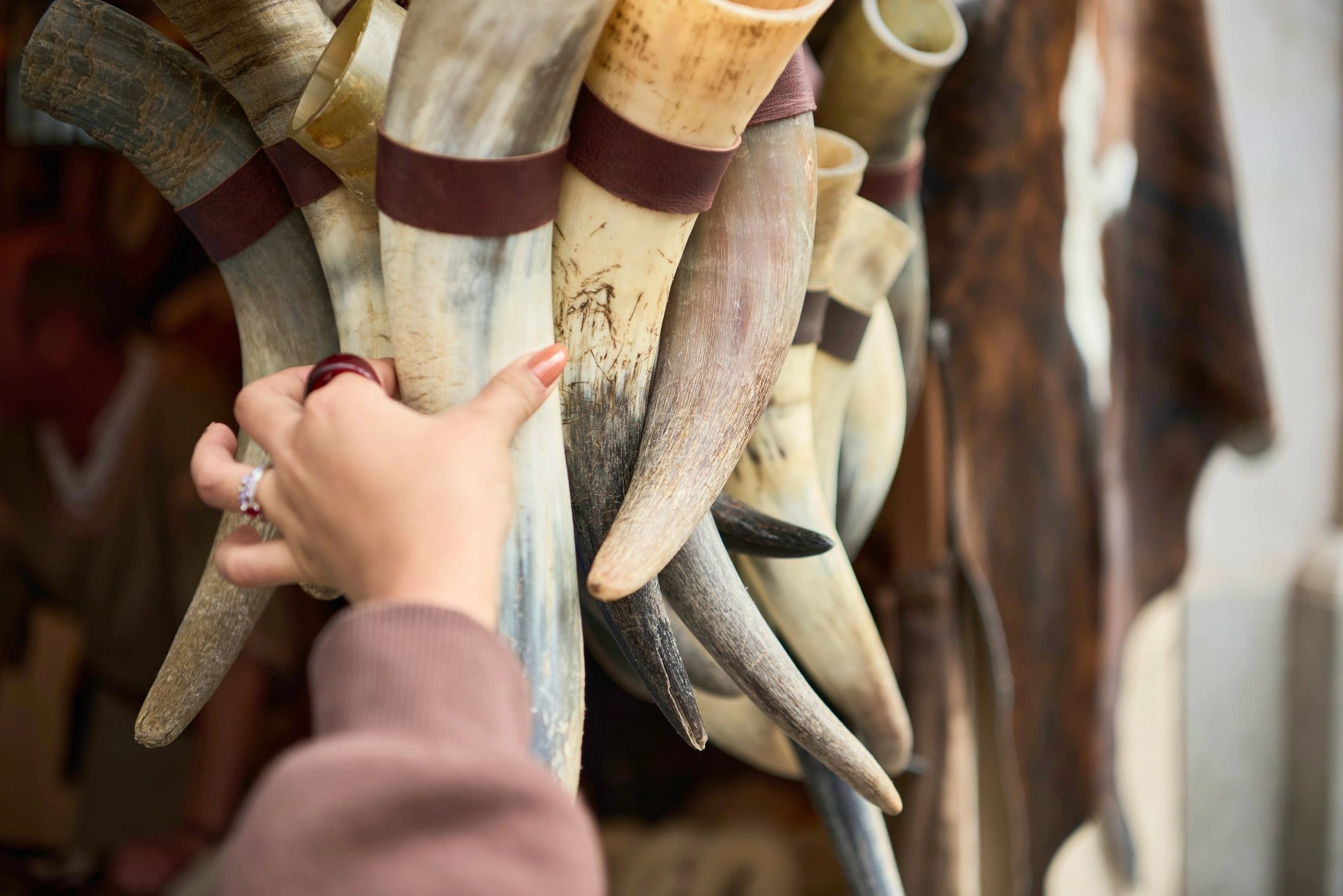 Rustic drinking horns displayed at a market stall